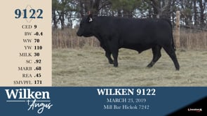 Lot #9122 - WILKEN 9122