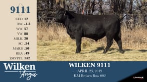 Lot #9111 - WILKEN 9111
