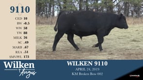Lot #9110 - WILKEN 9110