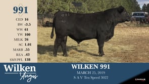 Lot #991 - WILKEN 991