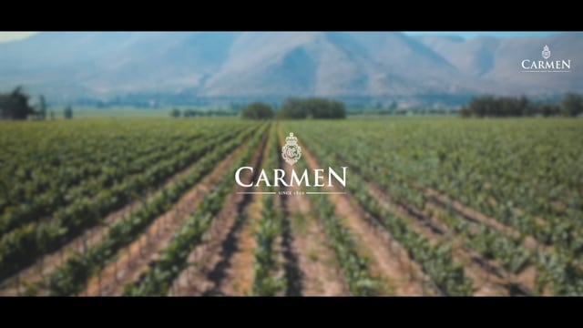 Video producción 480239358