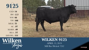 Lot #9125 - WILKEN 9125
