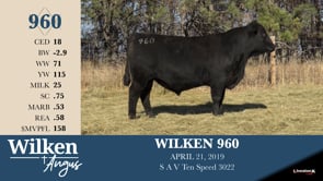 Lot #960 - WILKEN 960