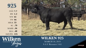 Lot #925 - WILKEN 925