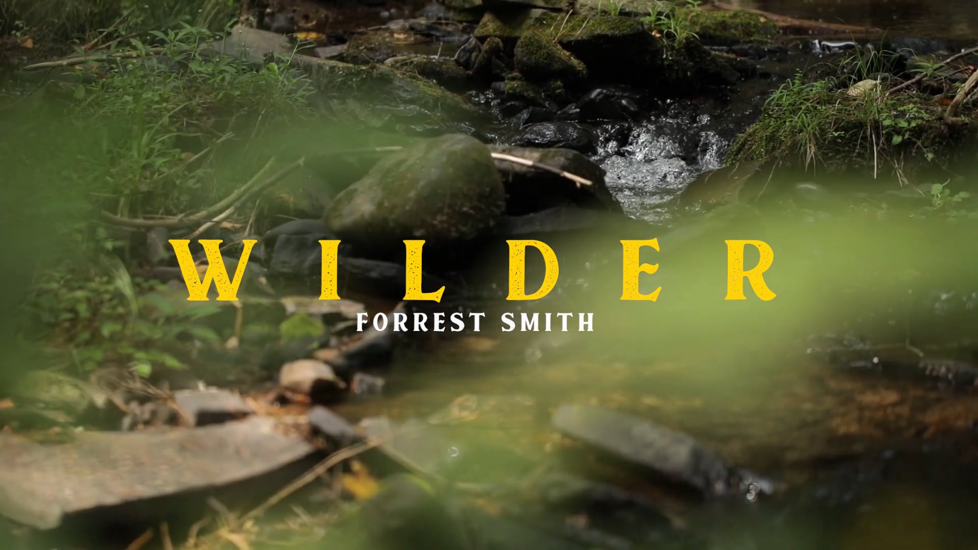 Wilder - Forrest Smith