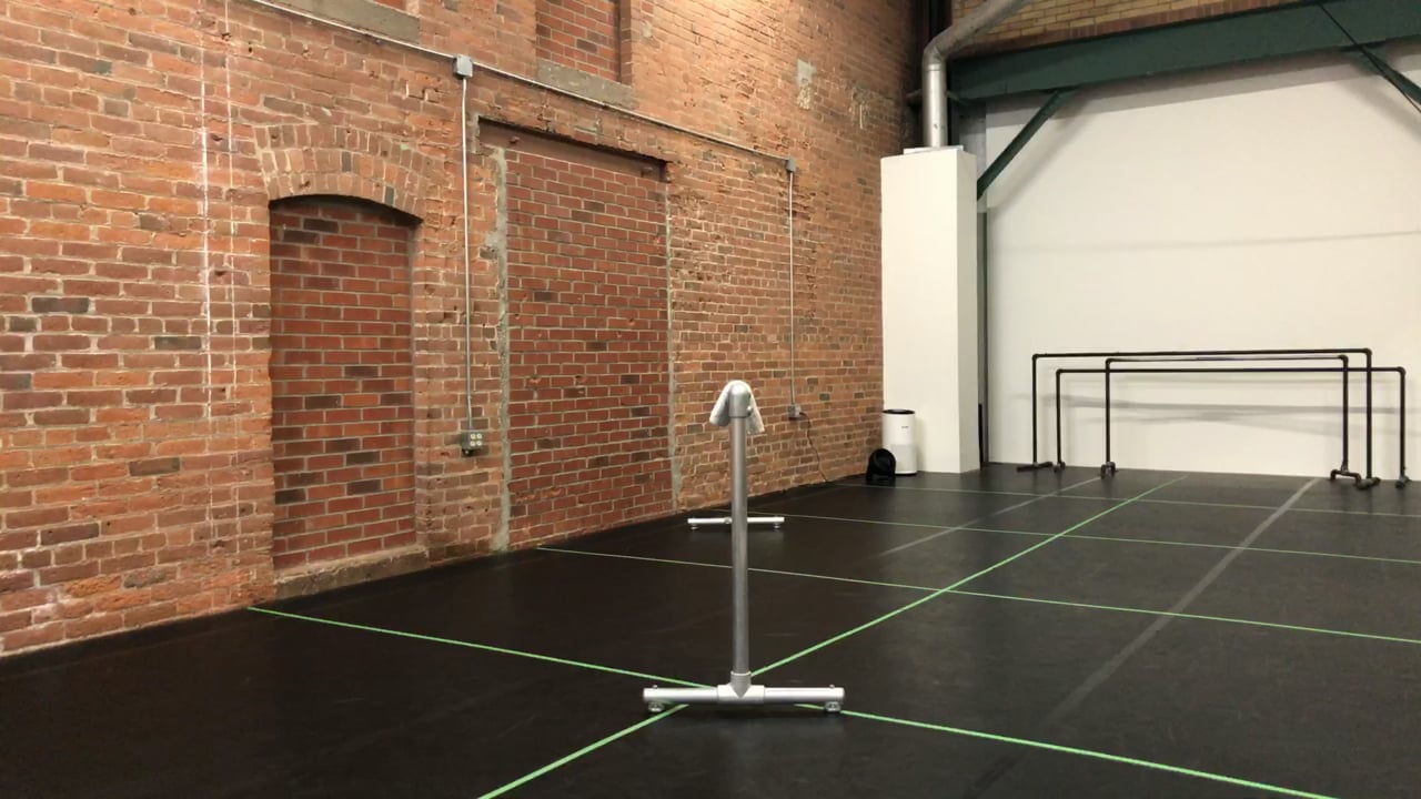BARRE 101- LIVESTREAM- 11/17