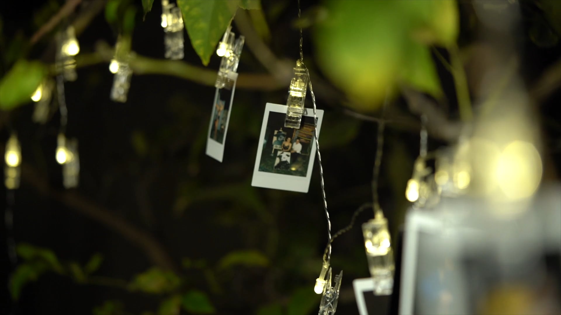 Immersive Art Exhibit MOMENTUM - Promo VIdeo