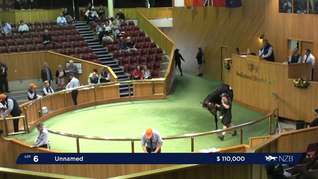 2020 Ready to Run Sale - Day 1, Lot 3 - Lot 13