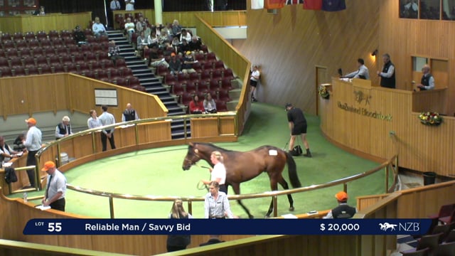 2020 Ready to Run Sale - Day 1, Lot 55 - Lot 62