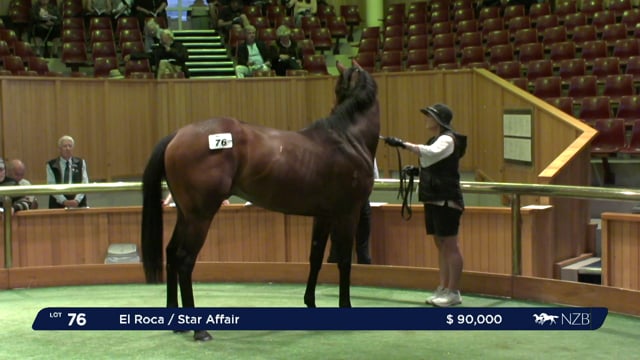 2020 Ready to Run Sale - Day 1, Lot 76 - Lot 84