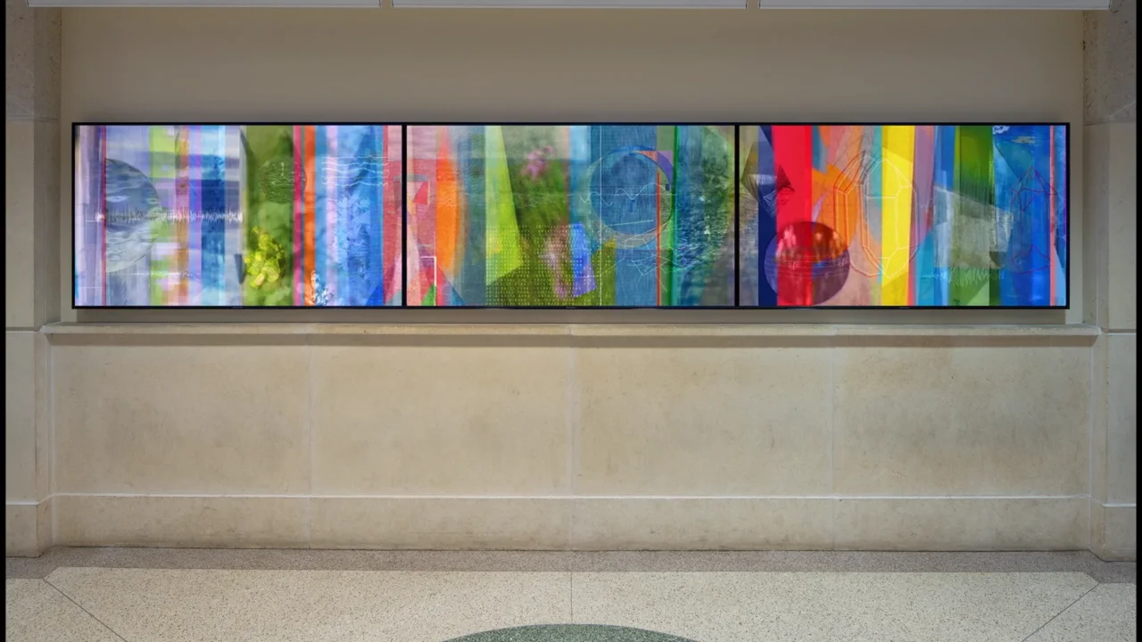 monika bravo - Arts Foundation for Tucson and Southern Arizona