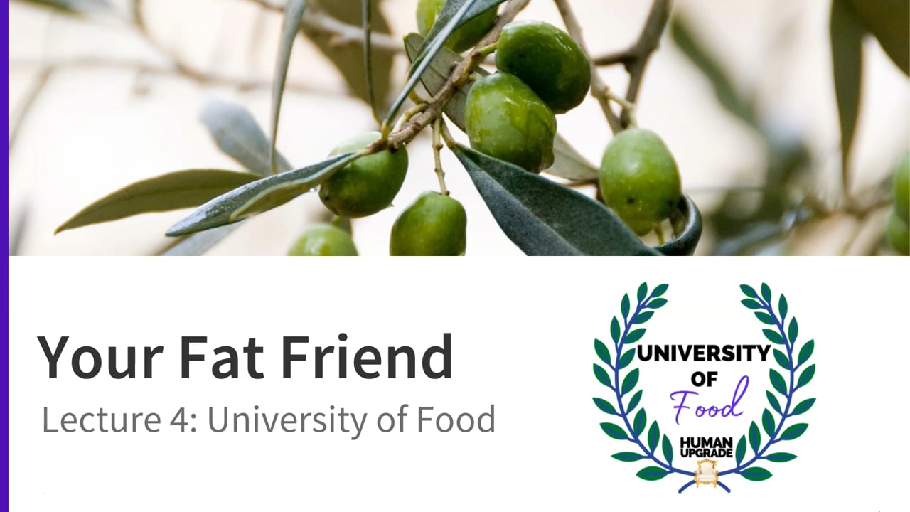 University of Food: Lecture 4: Fats