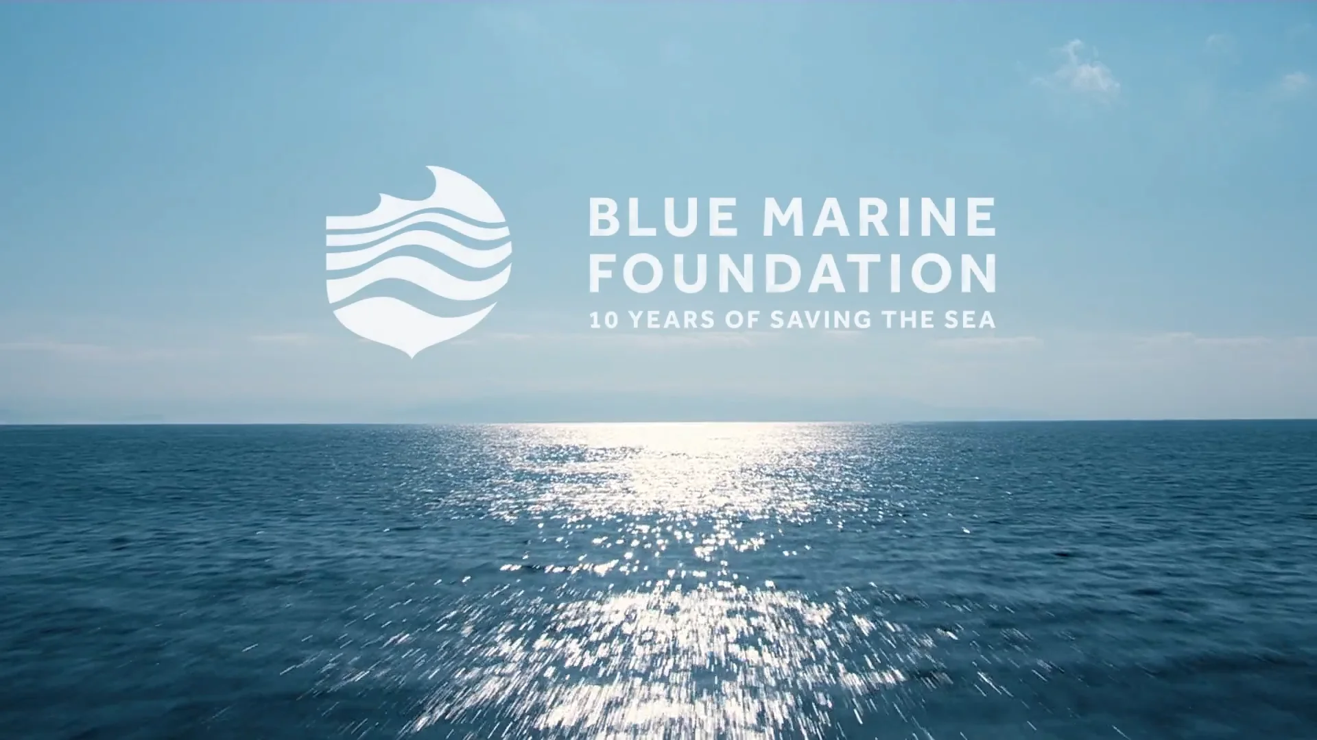 Blue Marine Foundation