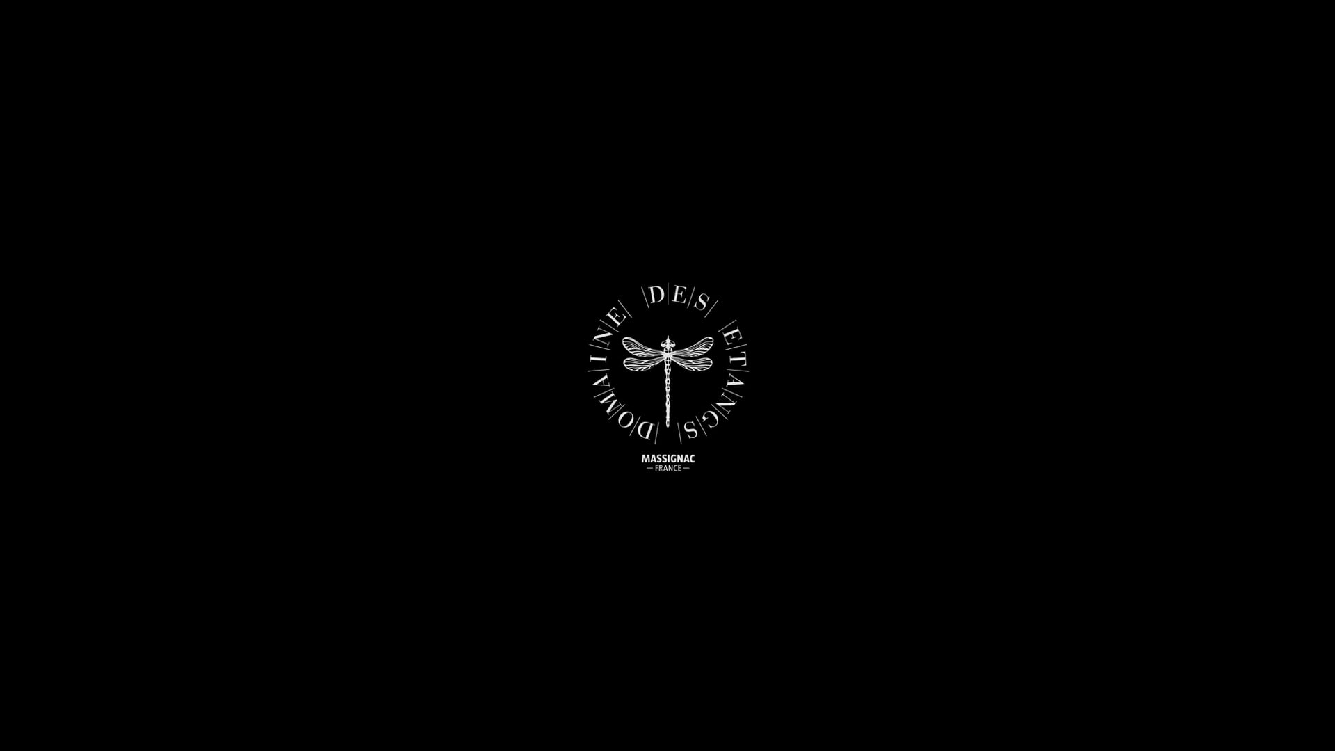 HIVER - Domaine de Massignac