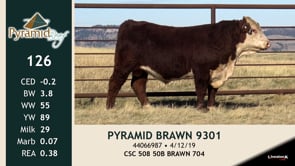 Lot #126 - PYRAMID BRAWN 9301