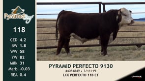 Lot #118 - PYRAMID PERFECTO 9130