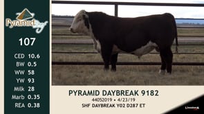 Lot #107 - PYRAMID DAYBREAK 9182