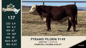Lot #137 - PYRAMID PILGRIM 9149