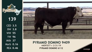 Lot #139 - PYRAMID DOMINO 9409