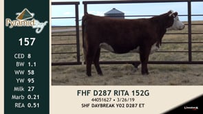 Lot #157 - FHF D287 RITA 152G