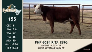 Lot #155 - FHF 6024 RITA 159G