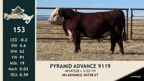 Lot #153 - PYRAMID ADVANCE 9119
