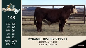 Lot #148 - PYRAMID JUSTIFY 9115