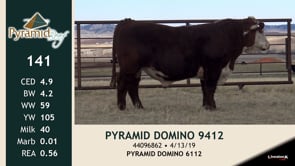 Lot #141 - PYRAMID DOMINO 9412
