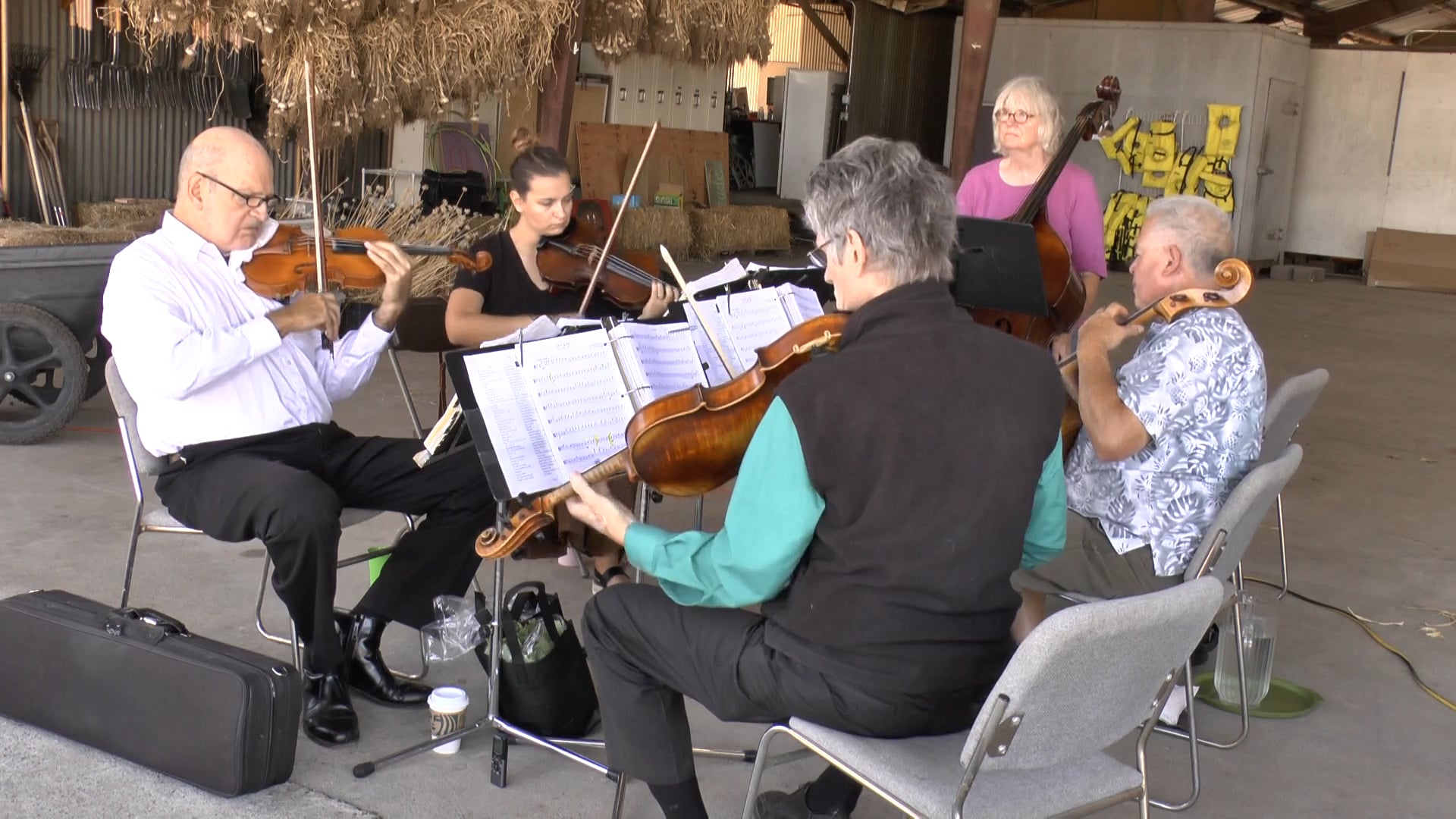 Promotional video thumbnail 1 for Millington Strings