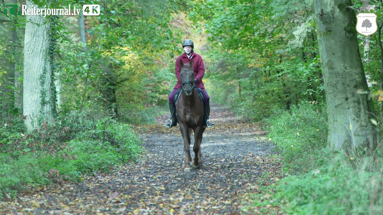 Der Reit- und Rennverein Walldorf e.V. im Portrait - www.reit-und-rennverein-walldorf.de