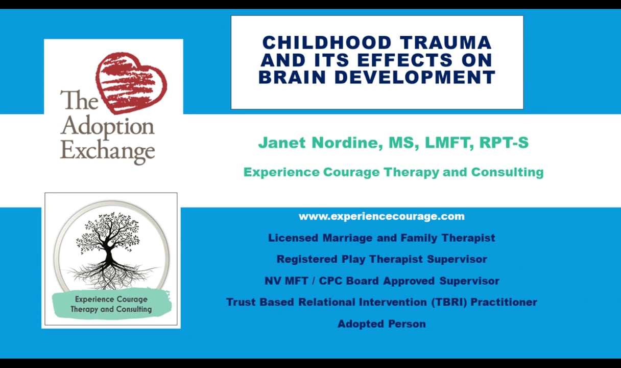 Childhood Trauma and Its Effects on Brain Development on Vimeo