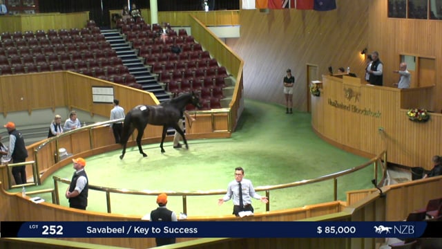 2020 Ready to Run Sale - Day 2, Lot 249 - Lot 261