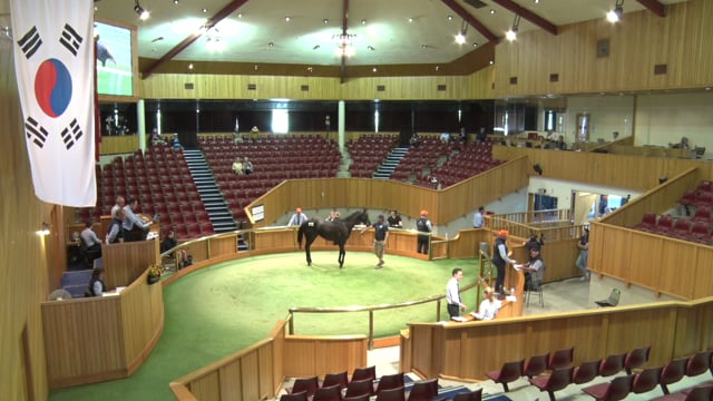 2020 Ready to Run Sale - Day 2, Lot 268 - Lot 274