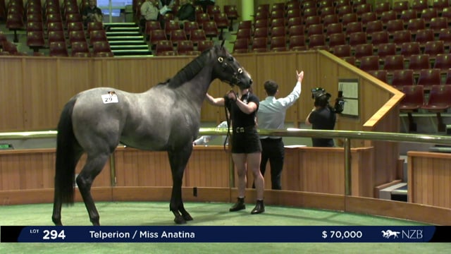 2020 Ready to Run Sale - Day 2, Lot 291 - Lot 297