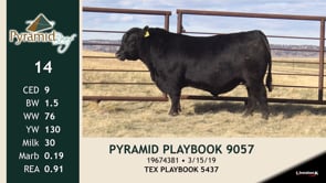 Lot #14 - PYRAMID PLAYBOOK 9057