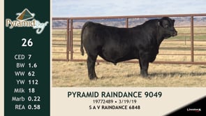 Lot #26 - PYRAMID RAINDANCE 9049