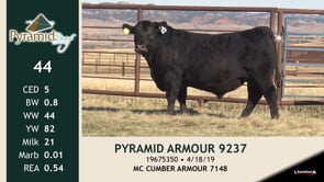 Lot #44 - PYRAMID ARMOUR 9237