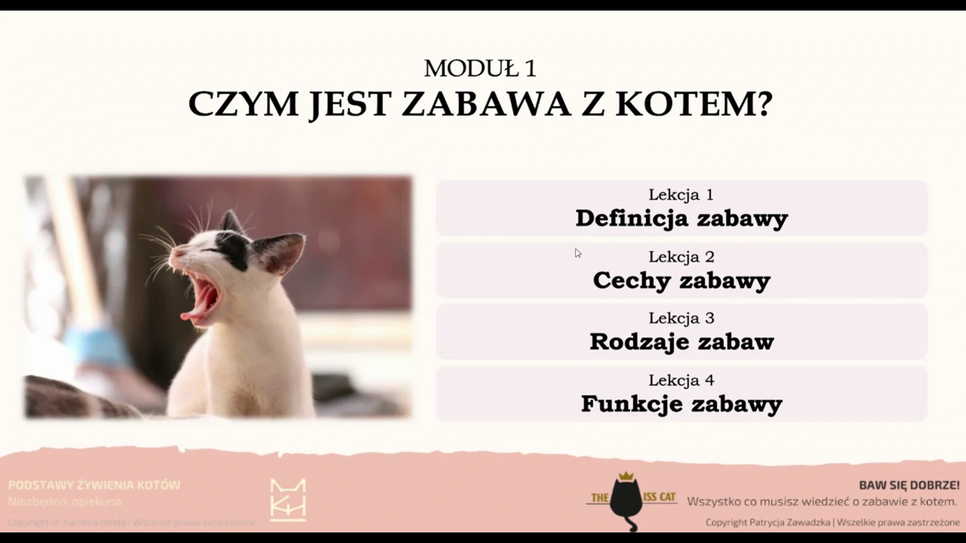 Zabawy z kotem - Moduł 1 - wprowadzenie on Vimeo