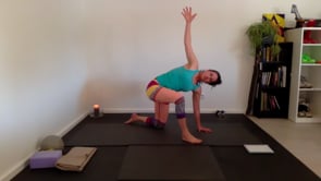 Forrest Yoga // Beginner Class: Twists and Baby Back-Bends // 60 min