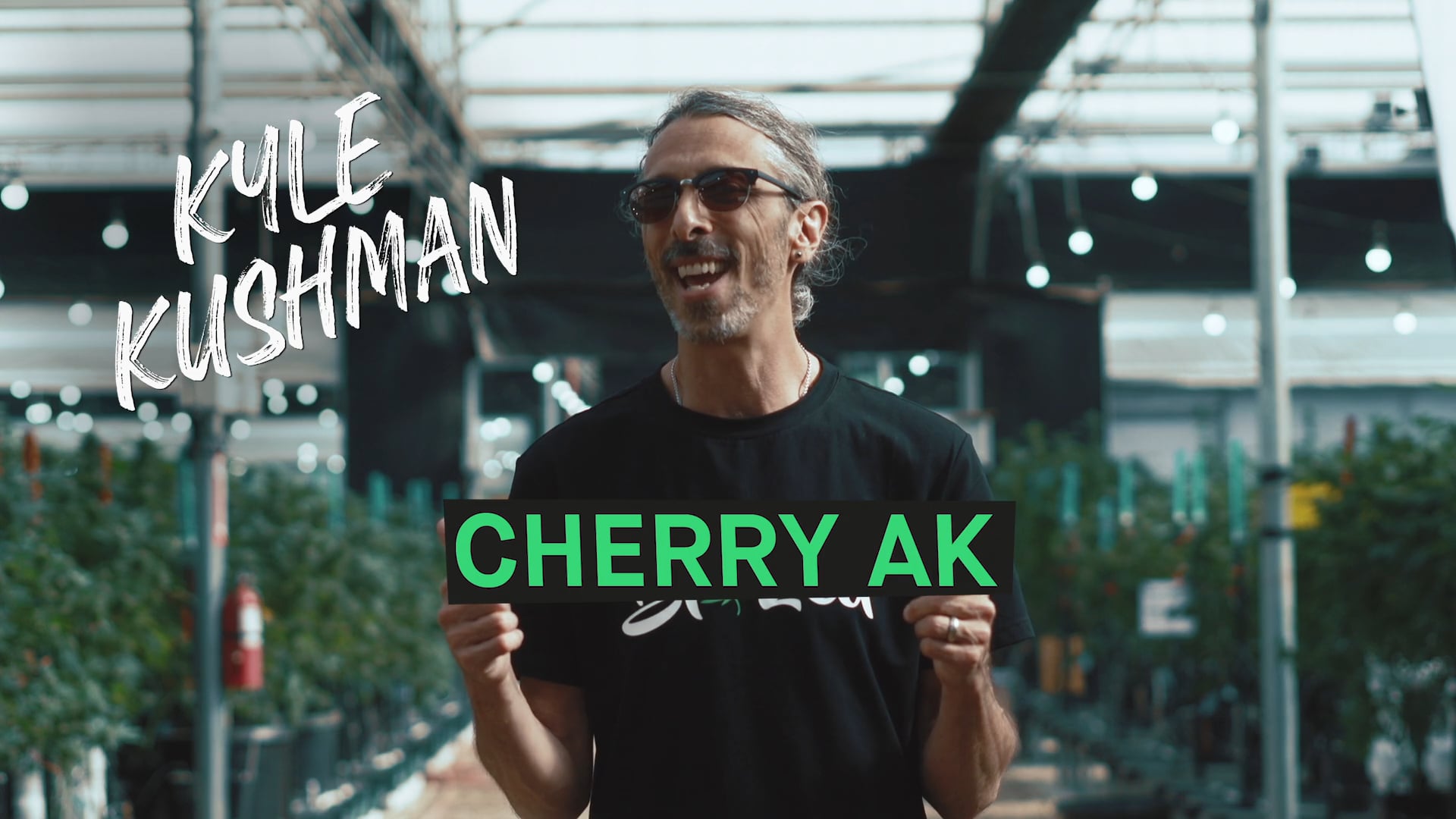 Cherry AK Feminized Cannabis Seeds