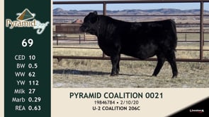 Lot #69 - PYRAMID COALITION 0021