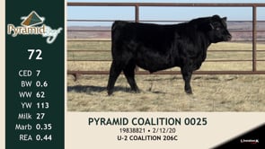 Lot #72 - PYRAMID COALITION 0025