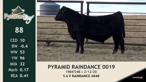 Lot #88 - PYRAMID RAINDANCE 0019