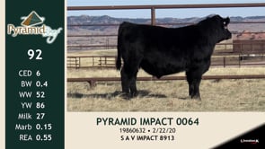 Lot #92 - PYRAMID IMPACT 0064