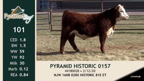 Lot #101 - PYRAMID HISTORIC 0157