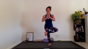 Forrest Yoga // Beginner Class: Grounding // 60 min
