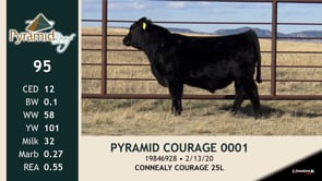 Lot #95 - PYRAMID COURAGE 0001