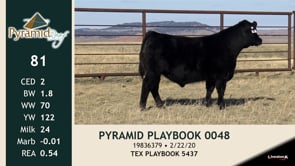 Lot #81 - PYRAMID PLAYBOOK 0048