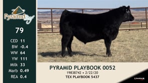 Lot #79 - PYRAMID PLAYBOOK 0052