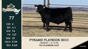 Lot #77 - PYRAMID PLAYBOOK 0033